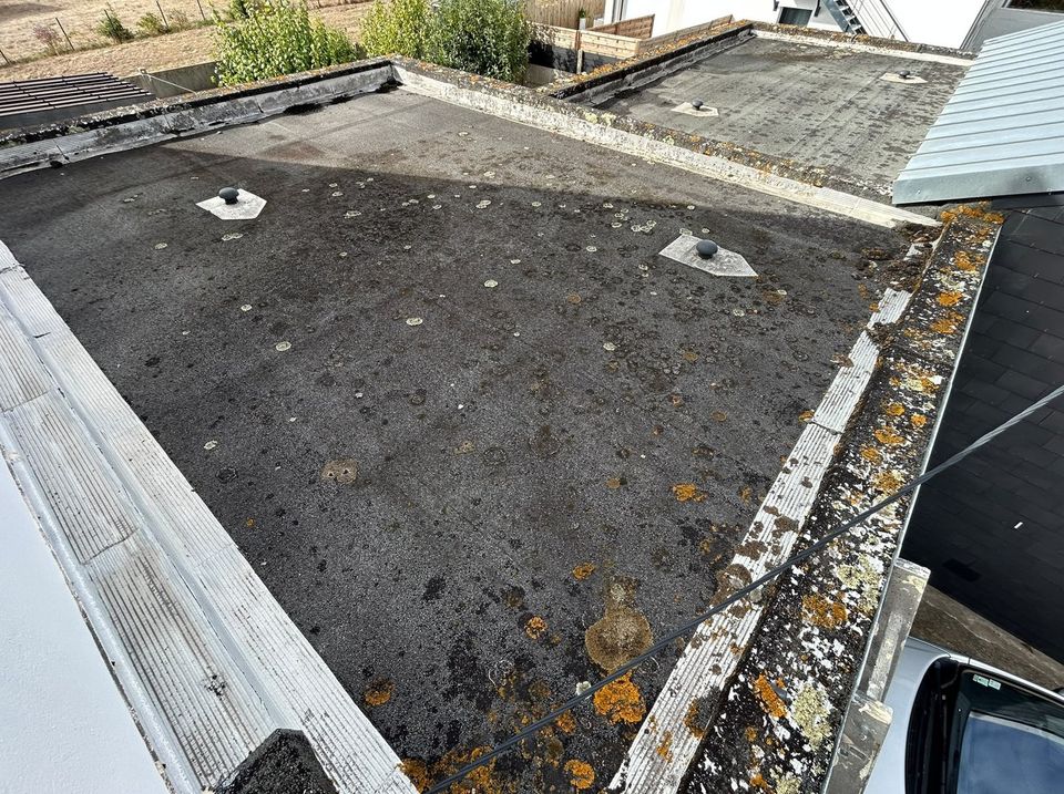 Membrane de toit-terrasse couverte de mousse et de débris