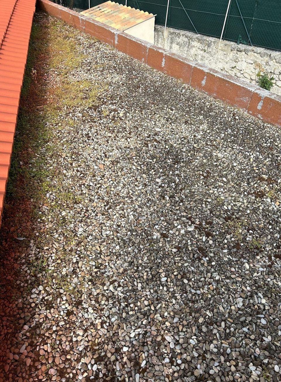Toit-terrasse couvert de mousse